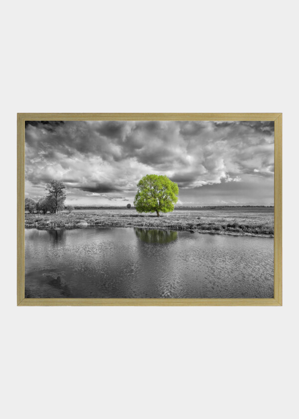 BLACK AND WHITE IMAGE WITH GREEN TREE