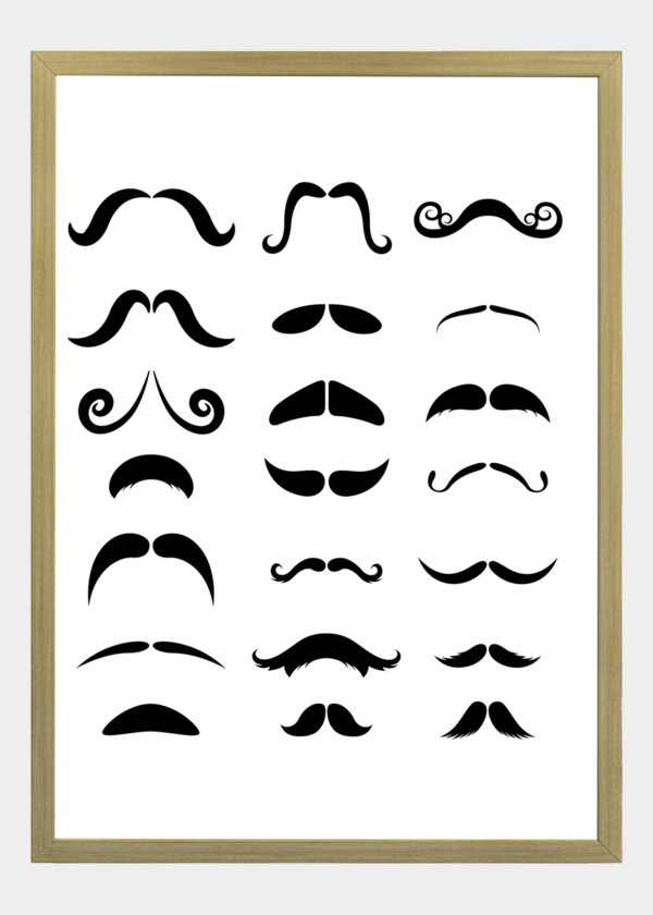 CARTOON MUSTACHES