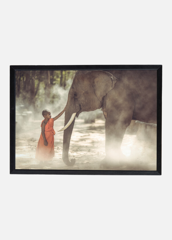 BUDDHIST BOY AND ELEPHANT