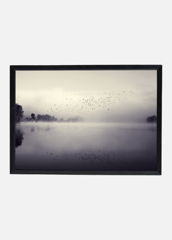 BIRDS OVER FOGGY LAKE