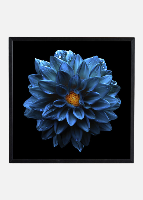 BLUE FLOWER