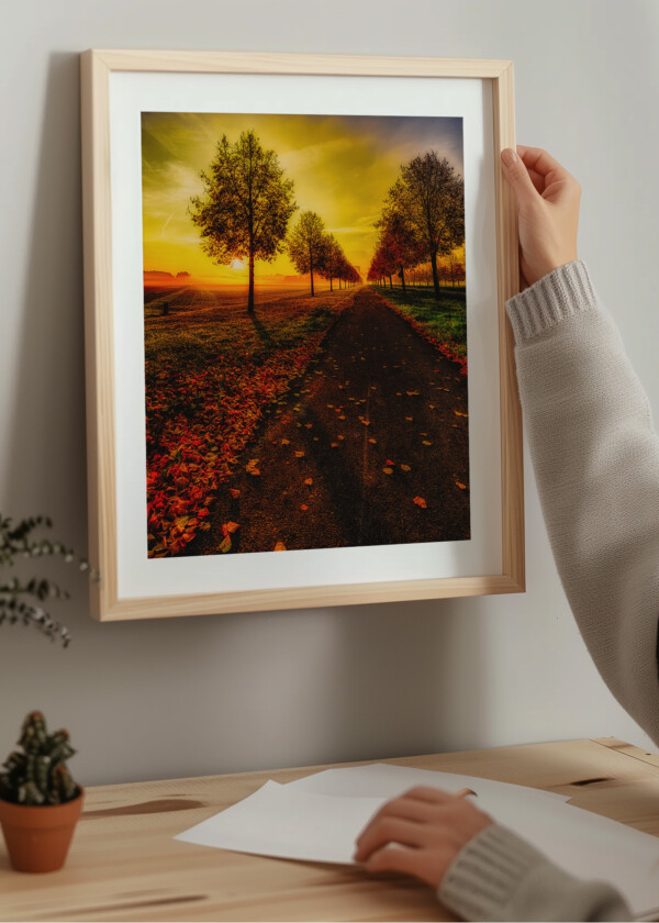 AVENUE AND YELLOW SKY