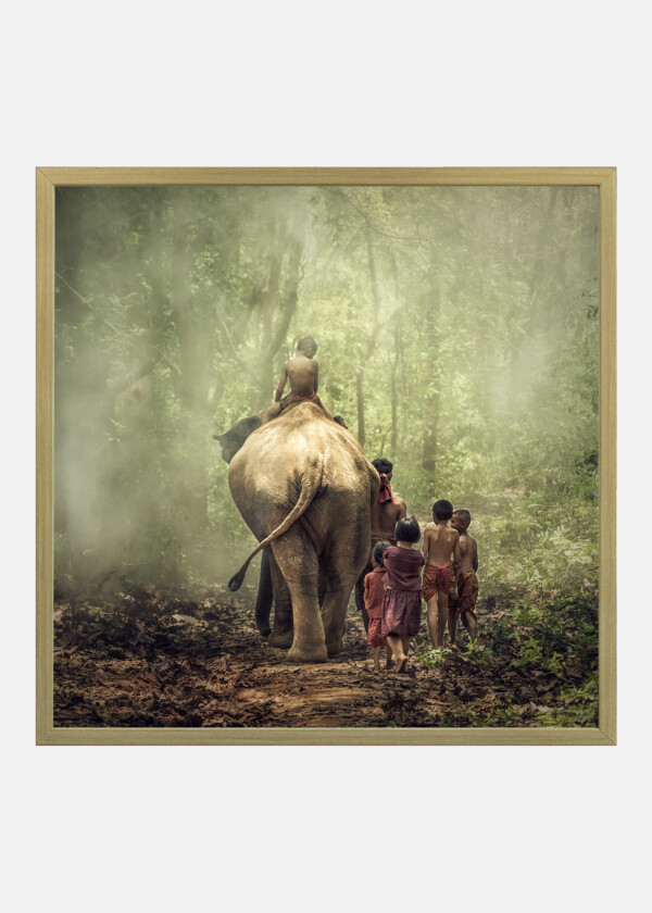 CHILDREN WALKING WITH ELEPHANT IN THE FORREST