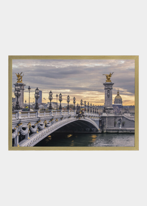 ALEXANDE III BRIDGE. PARIS