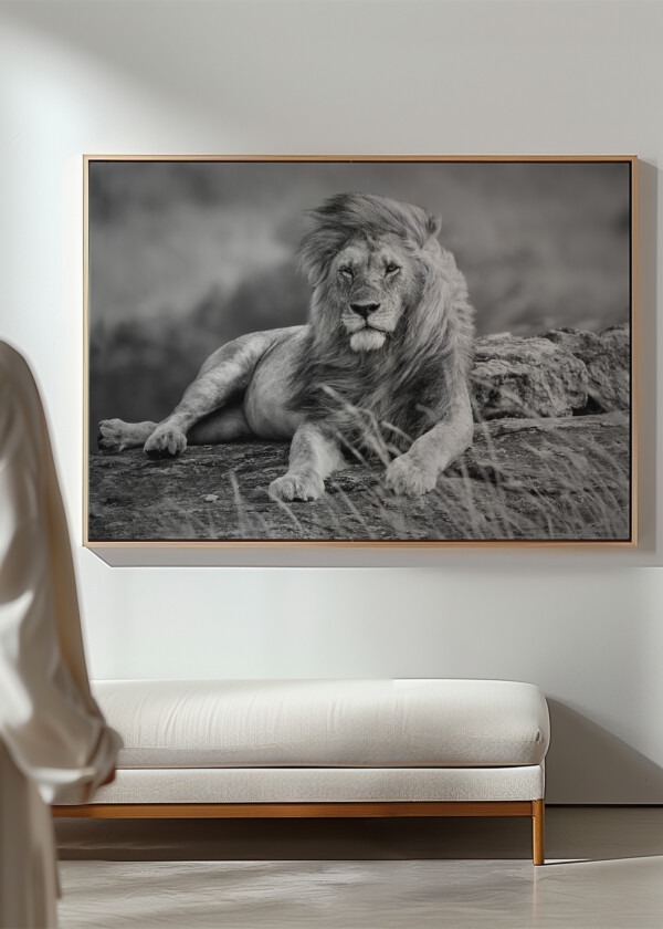 BIG MALE LION RELAXING