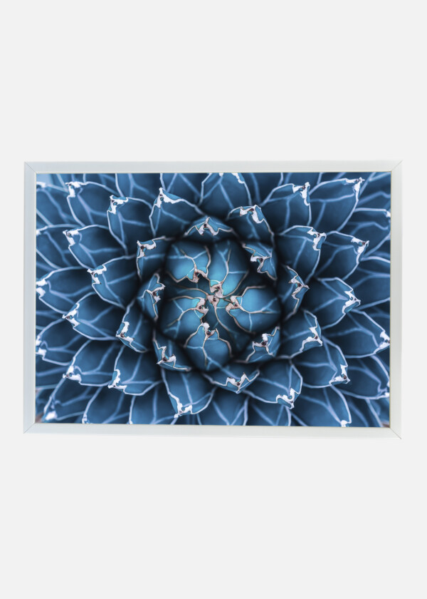 BLUE FLOWER