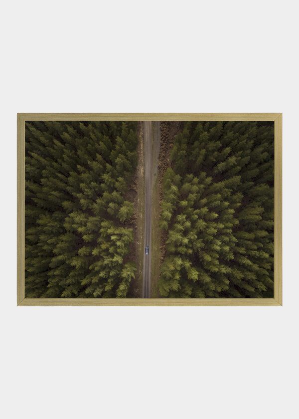 VIEW FROM ABOVE OF CAR DRIVING DOWN ROAD BETWEEN FOREST