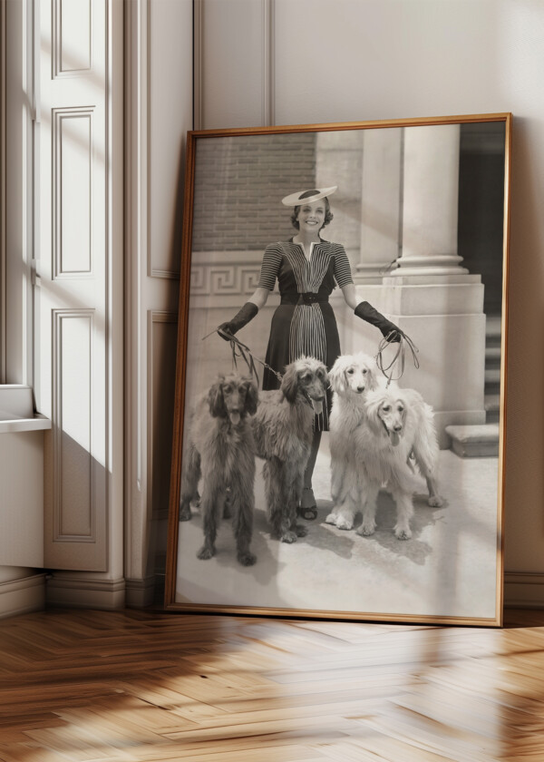 A WOMAN AND HER FOUR AFGHAN HOUNDS