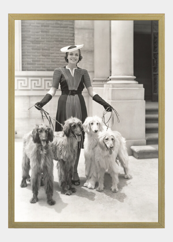 A WOMAN AND HER FOUR AFGHAN HOUNDS