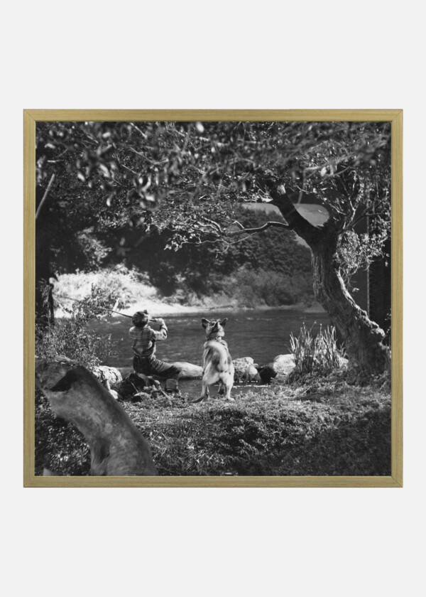 BOY FISHING WITH DOG IN RIVER