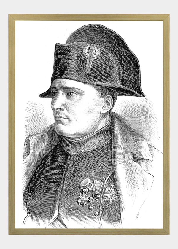 NAPOLEON, VINTAGE ENGRAVED ILLUSTRATION. HISTORY OF FRANCE 1885