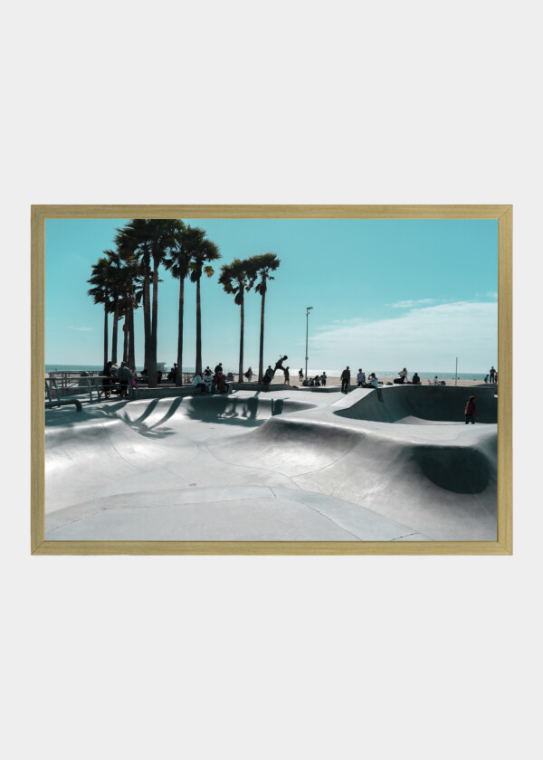 VIEW OF VENICE SKATE PARK