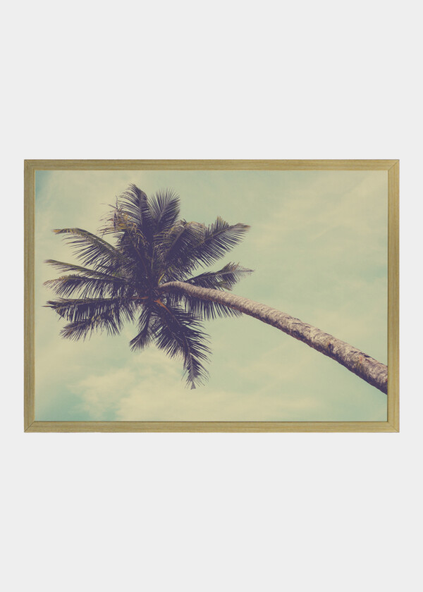 ANT’S EYES VIEW, ABSTRACT BEAUTIFUL BACKGROUND OF COCONUT PALM TREE WITH BLUE SKY