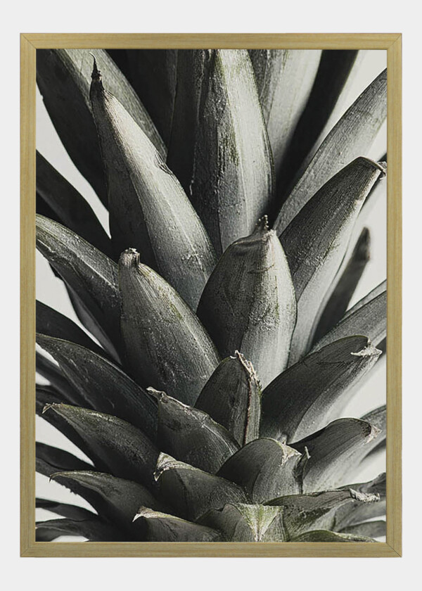 ANANAS NÄRBILD