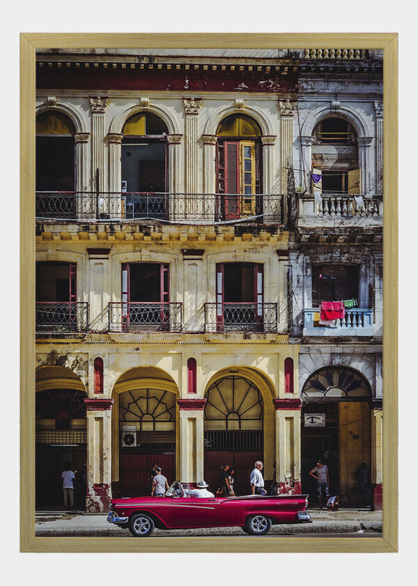 HABANA GATAN